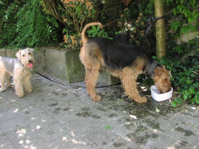 Caspar und Oscar.jpg