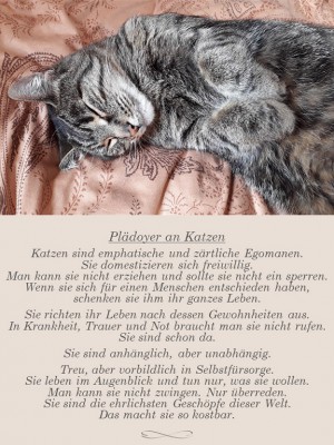 Plädoyer.jpg