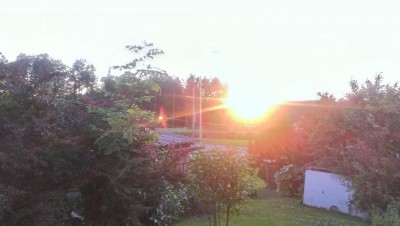 IMAG0425.jpg (75.96 KiB) 13093-mal betrachtet IMAG0425.jpg